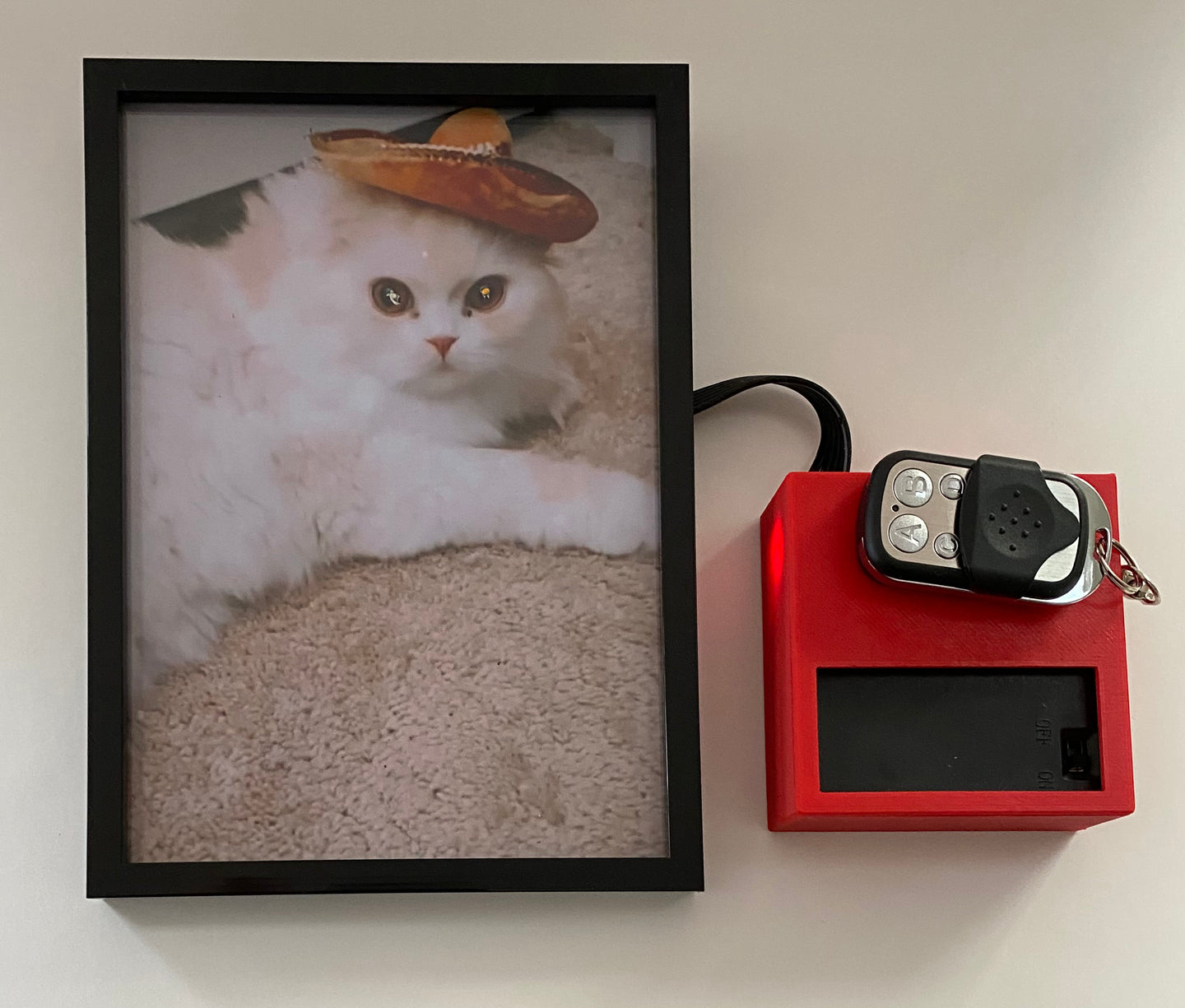 LED Frame
